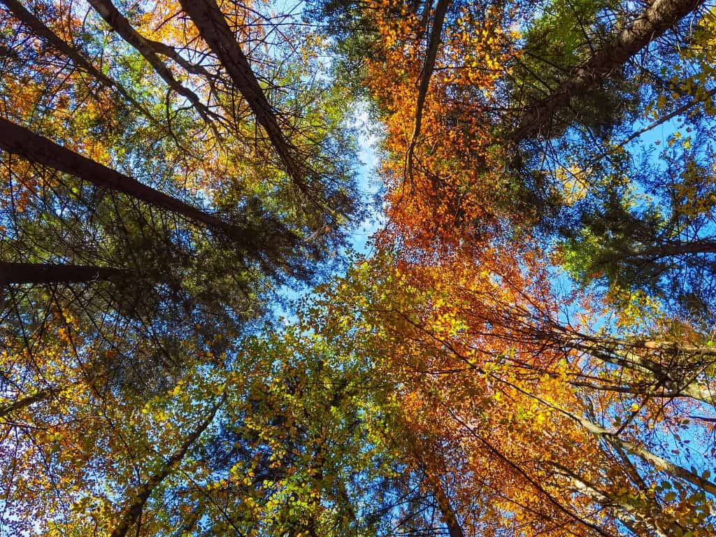 315105504 862204611579849 6685798947417710801 N 1024x768